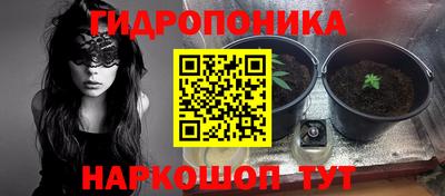 ешки Краснознаменск